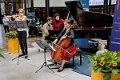 Musique      016
